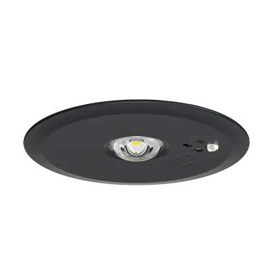 NNFB93645Z （ 昼白色 ） パナソニック 新品 天井埋込型  LED非常用照明器具 30分間タイプ 中天井用（ ～6m ） 自己点検スイッチ付 リモコン自己点検機能付／埋込穴φ100  （ NNFB93645 後継） Panasonic