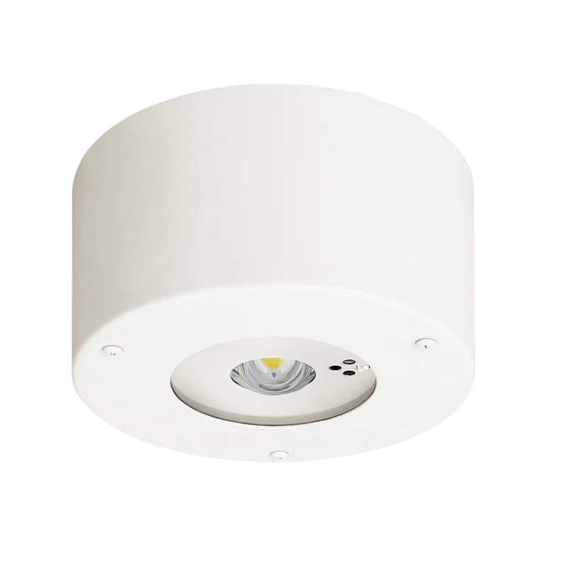 NNFB93106C パナソニック 新品 天井直付型 （ 昼白色 ） LED非常用照明器具 30分間タイプ 中天井用（ ～8m ） 防湿型 防雨型 自己点検スイッチ付 リモコン自己点検機能付 （ NNFB93106J 後継） Panasonic