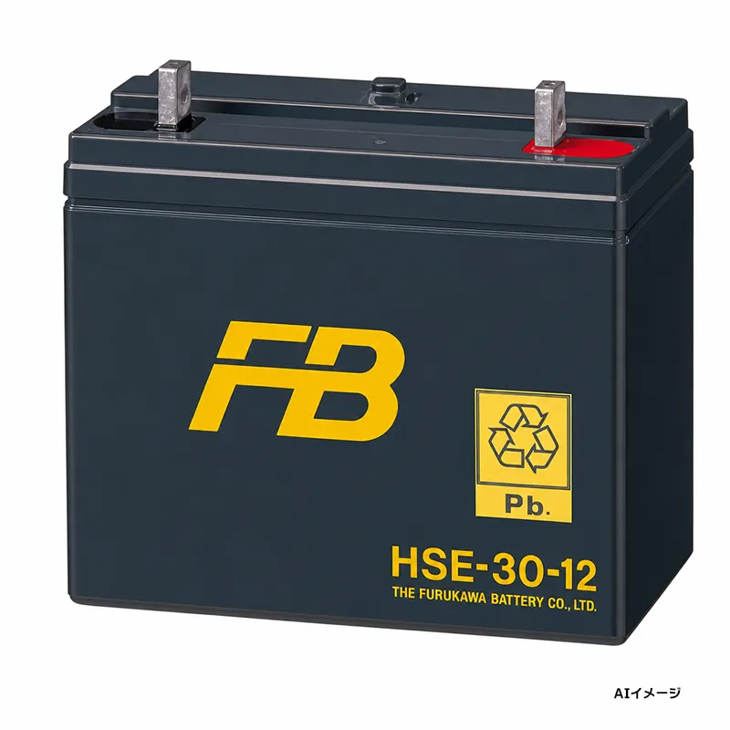 HSE-30-12 古河電池 制御弁式据置鉛蓄電池 12V30Ah HSEシリーズ メンテナンスフリー  【受注生産品】【メーカー直送品】