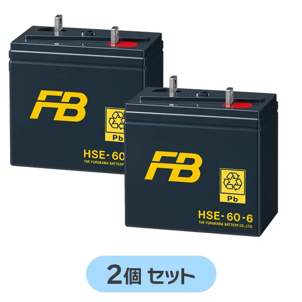HSE-60-6 【2個セット12V仕様】 古河電池製 制御弁式据置鉛蓄電池 12V60Ah HSEシリーズ  【受注生産品】【メーカー直送品】