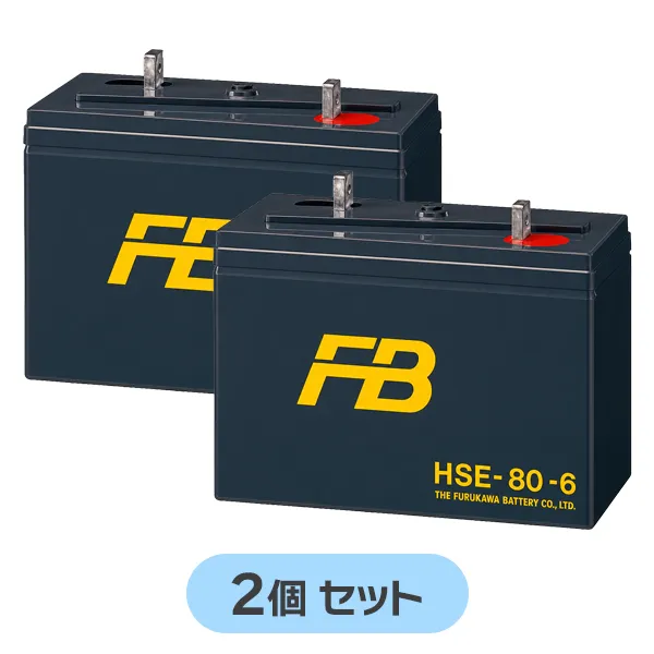 HSE-80-6 【2個セット12V仕様】 古河電池 新品 制御弁式据置鉛蓄電池 12V80Ah HSEシリーズ 【受注生産品】【メーカー直送品】