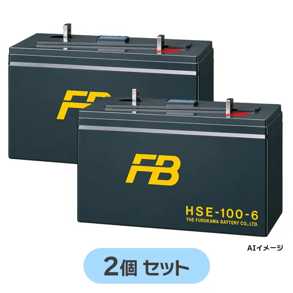 HSE-100-6 【2個セット12V仕様】 古河電池 新品 制御弁式据置鉛蓄電池 12V100Ah HSEシリーズ 【受注生産品】【メーカー直送品】