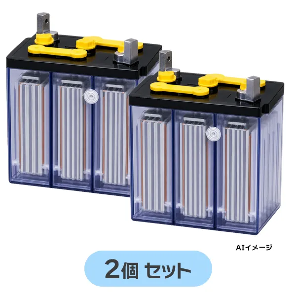 HS-100-6E 【2個セット12V仕様】 古河電池製 新品 ベント型据置鉛蓄電池 12V100Ah 触媒栓付 HS-E形 【受注生産品】【メーカー直送品】