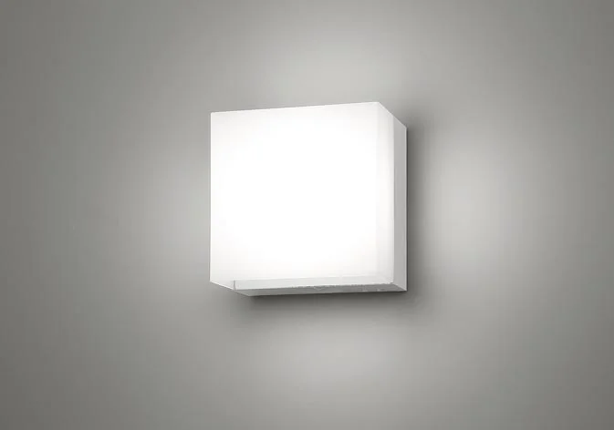 NNCF50120J LE1 パナソニック 壁直付型 LEDコンパクトブラケット階段通路誘導灯 30分間タイプ LED内蔵 電源ユニット内蔵 Panasonic