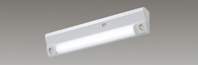LEKSS24083N-LS 東芝ライテック LED非常用照明器具 階段灯 天井壁直付兼用形 センサー無し 非調光タイプ 非常時30分間点灯 非常時定格光束 1110lm