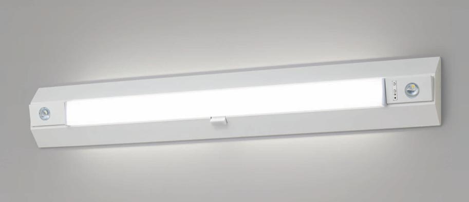 NNCF42255J LE9 パナソニック 天井直付型・壁直付型 LED（昼白色）非常用照明器具・一体型階段灯 30分間タイプ ランプ同梱 電源ユニット内蔵