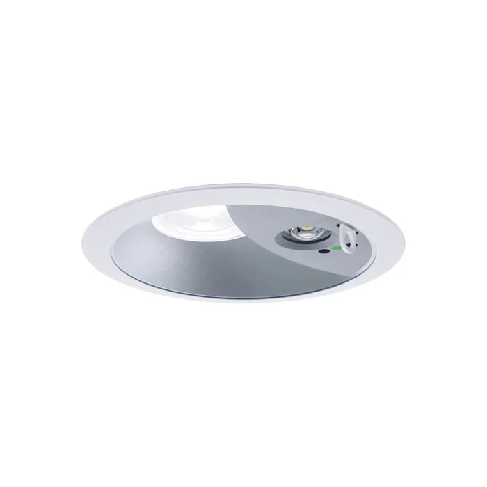 XNG1061SVKLE9 パナソニック 純正品 新品 天井埋込型 LED 温白色 ダウンライト 非常用 ・ 階段通路誘導灯 30分間タイプ ・ ビーム角85度 ・ 拡散タイプ ・ 光源遮光角15度 自己点検スイッチ付 ・ リモコン自己点検機能付 / 埋込穴φ150 【 受注品 】 Panasonic